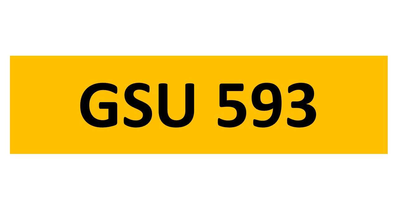 Lot 108 - REGISTRATION ON RETENTION - GSU 593