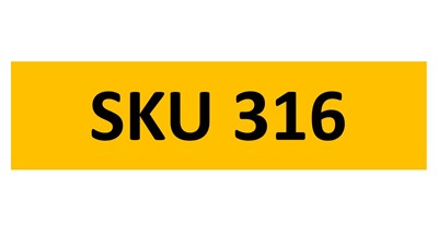 Lot 165-3 - REGISTRATION ON RETENTION - SKU 316