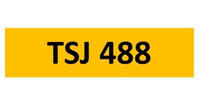 Lot 114-3 - REGISTRATION ON RETENTION - TSJ 488