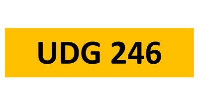 Lot 119-3 - REGISTRATION ON RETENTION - UDG 246