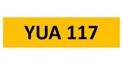 Lot 110-3 - REGISTRATION ON RETENTION - YUA 117