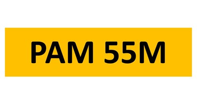 Lot 1-3 - REGISTRATION ON RETENTION - PAM 55M