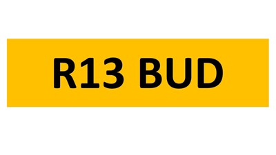 Lot 17-3 - REGISTRATION ON RETENTION - R13 BUD