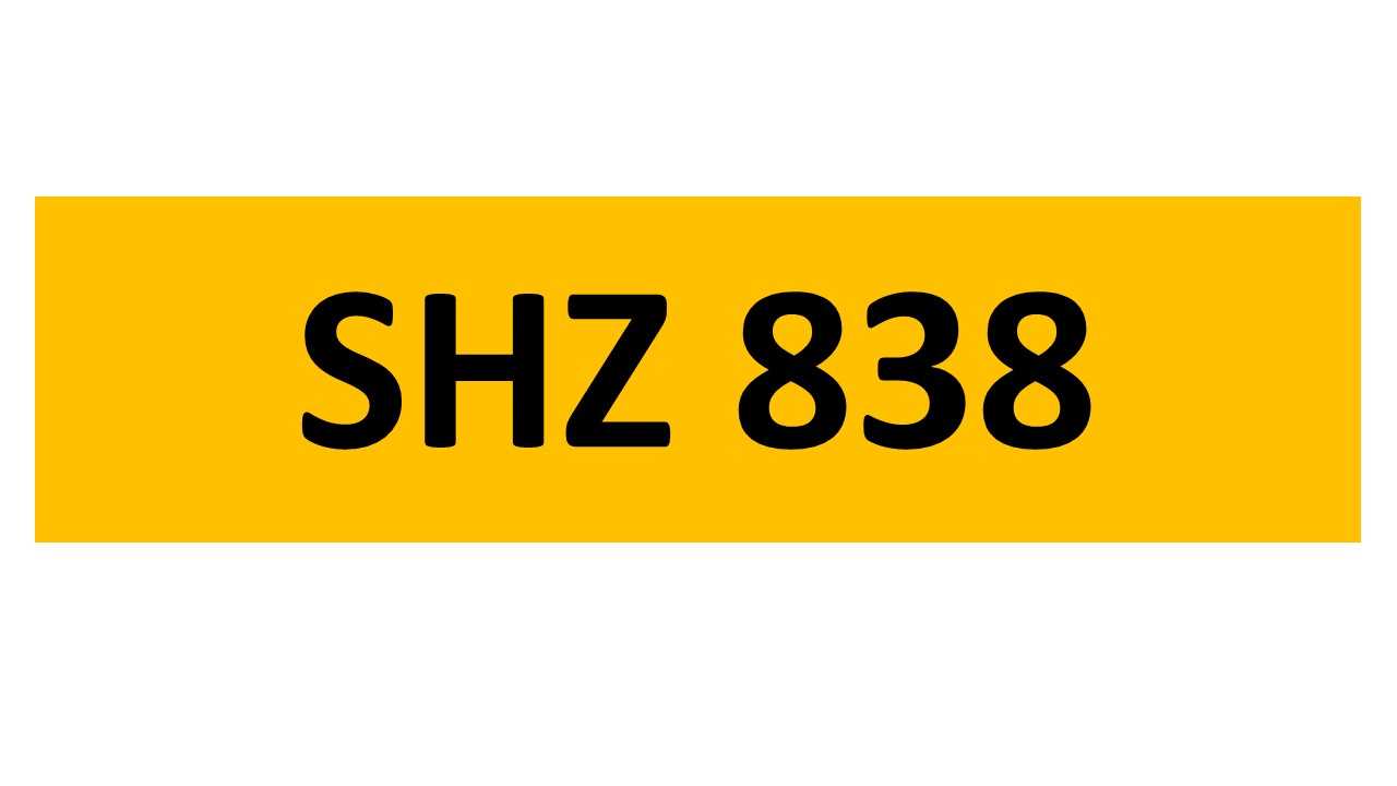 Lot 270 - REGISTRATION ON RETENTION - SHZ 838